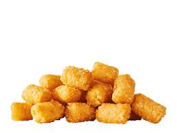 Basket of Tater Tots or Fries